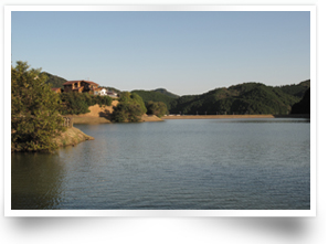 画像：中山池自然公園
